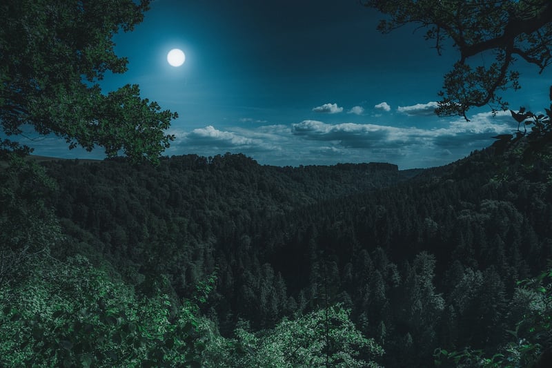 Moonphase Backdrop